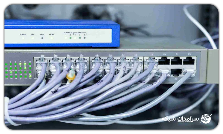 SAN switch